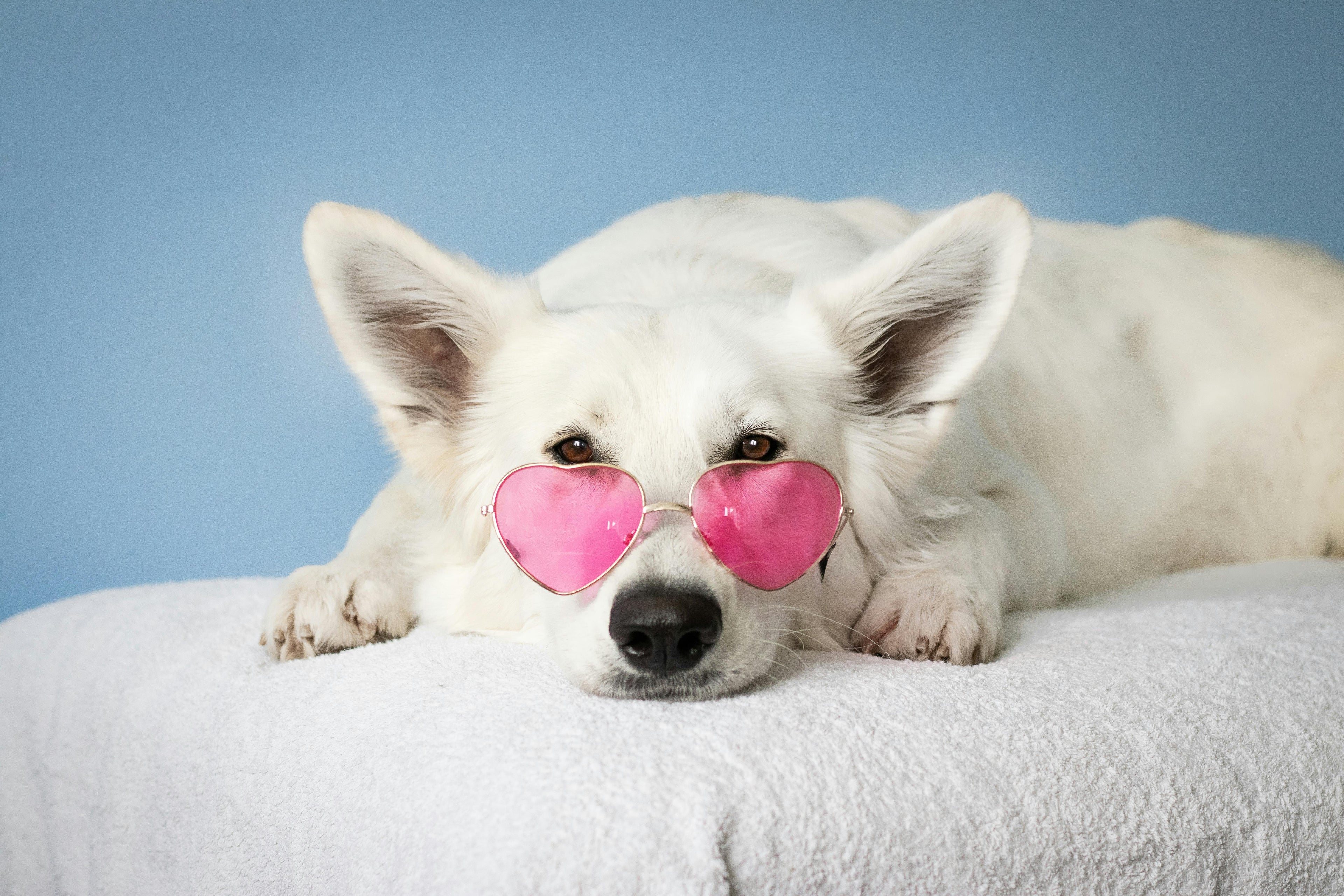 slider image 1621243260e1af0c20-2